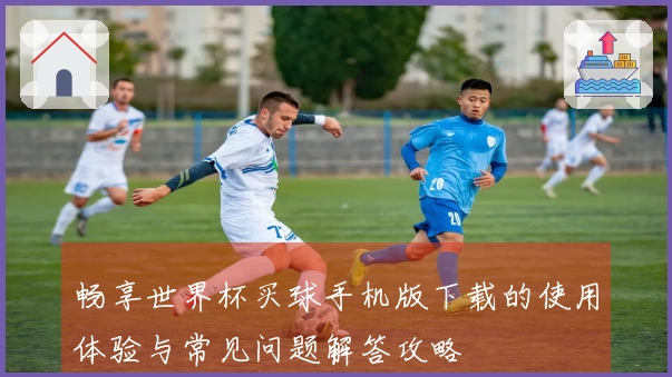 畅享世界杯买球手机版下载的使用体验与常见问题解答攻略