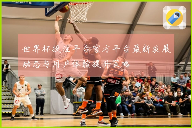 世界杯投注平台官方平台最新发展动态与用户体验提升策略