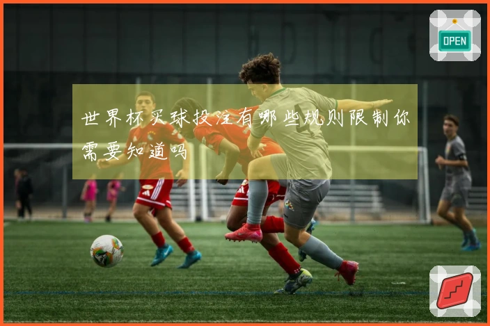 世界杯买球投注有哪些规则限制你需要知道吗