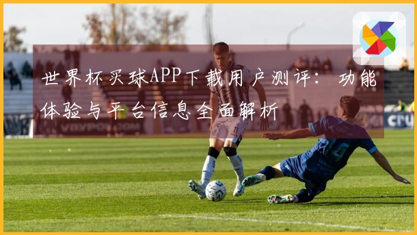 世界杯买球APP下载用户测评:功能体验与平台信息全面解析