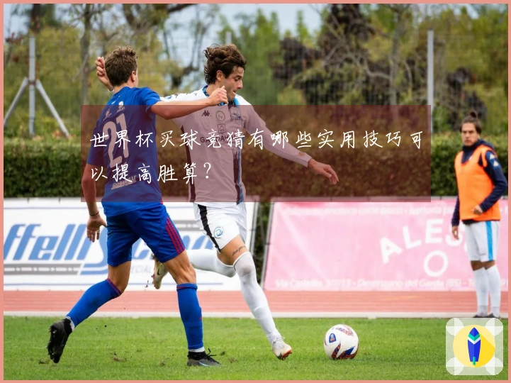 世界杯买球竞猜有哪些实用技巧可以提高胜算？