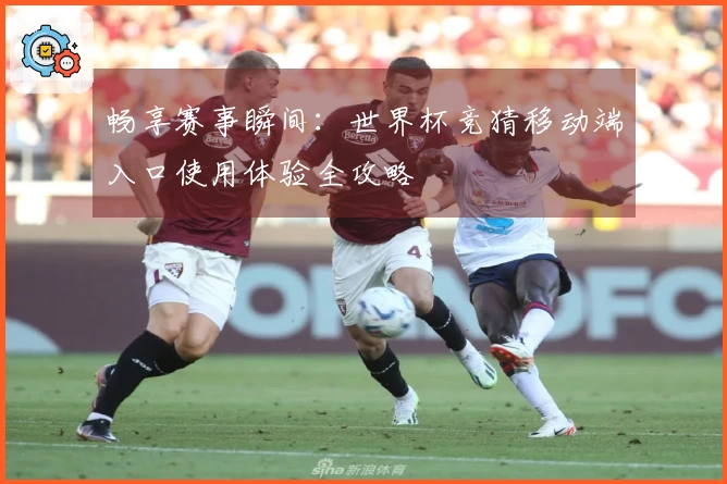 畅享赛事瞬间：世界杯竞猜移动端入口使用体验全攻略