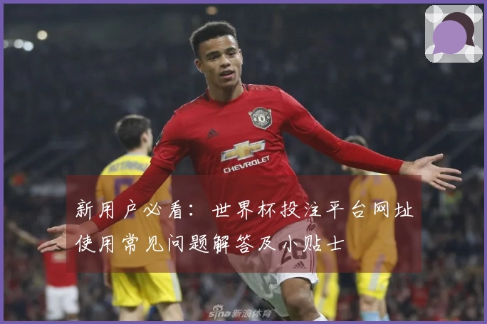 新用户必看：世界杯投注平台网址使用常见问题解答及小贴士