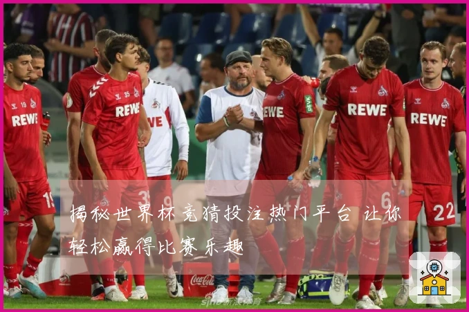 揭秘世界杯竞猜投注热门平台 让你轻松赢得比赛乐趣