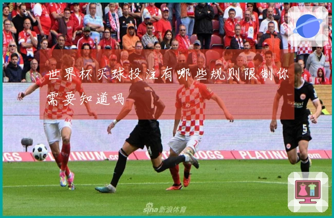 世界杯买球投注有哪些规则限制你需要知道吗