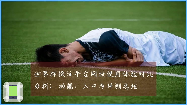 世界杯投注平台网址使用体验对比分析：功能、入口与评测总结
